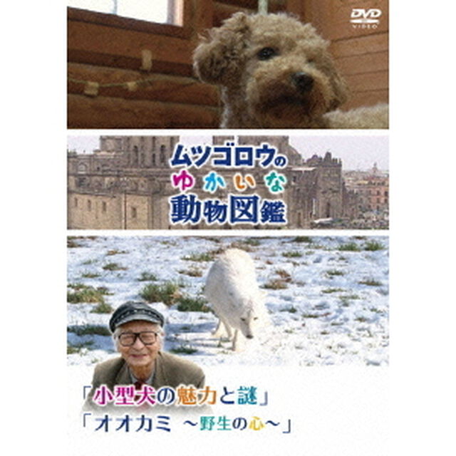 「ムツゴロウのゆかいな動物図鑑」 シリーズ 「小型犬の魅力とその謎」「オオカミ 〜野生の心〜」（ＤＶＤ）