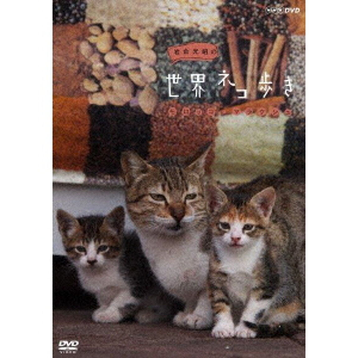 岩合光昭の世界ネコ歩き　モロッコ・マラケシュ（ＤＶＤ）