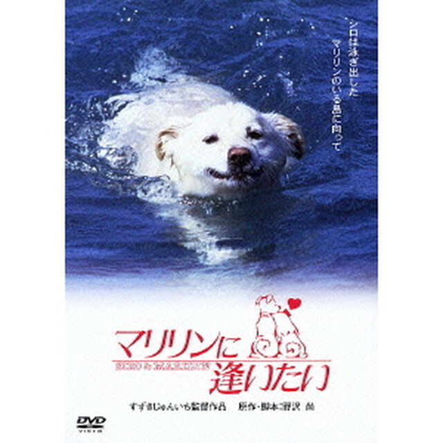 マリリンに逢いたい（ＤＶＤ）