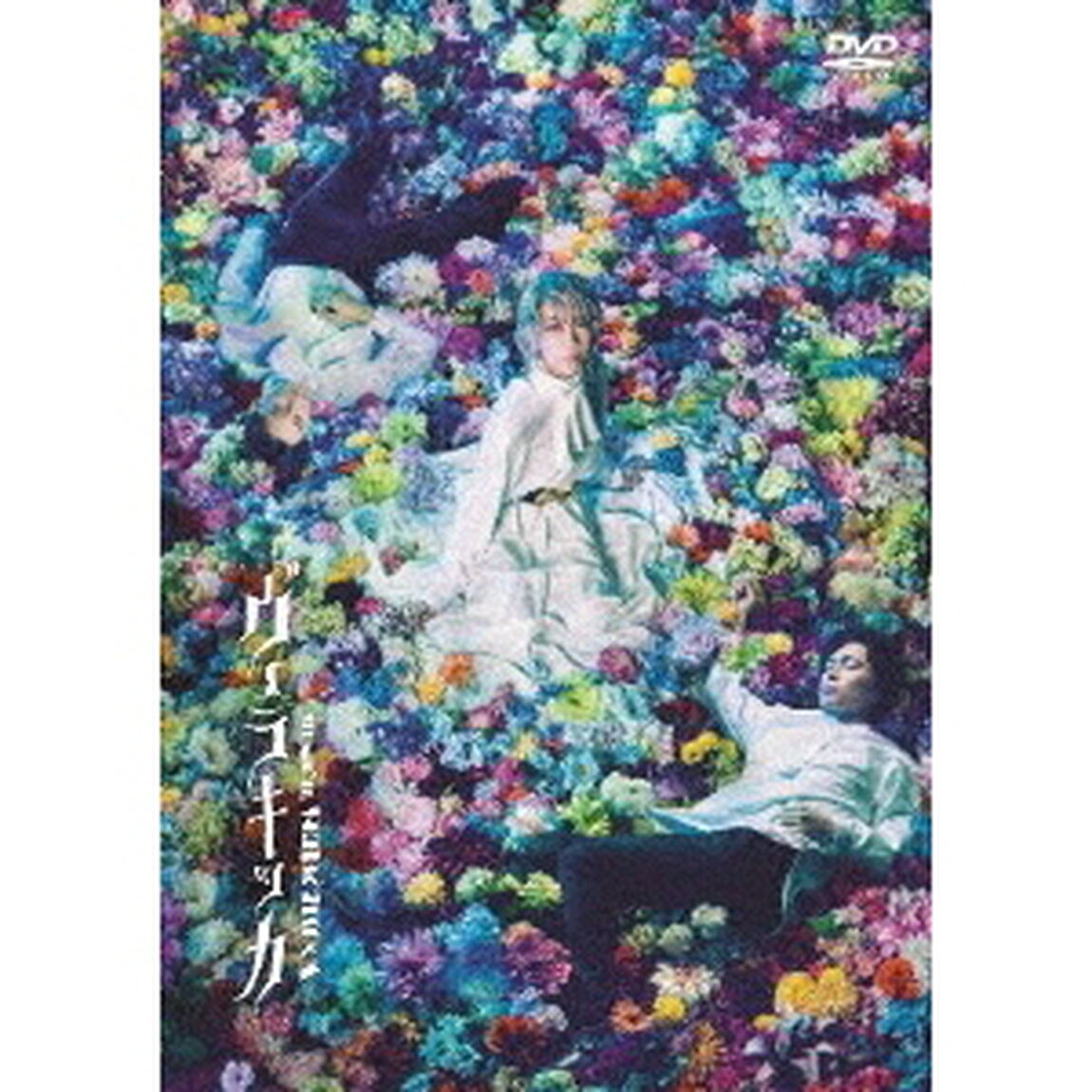 ミュージカル『ヴェラキッカ』（ＤＶＤ）