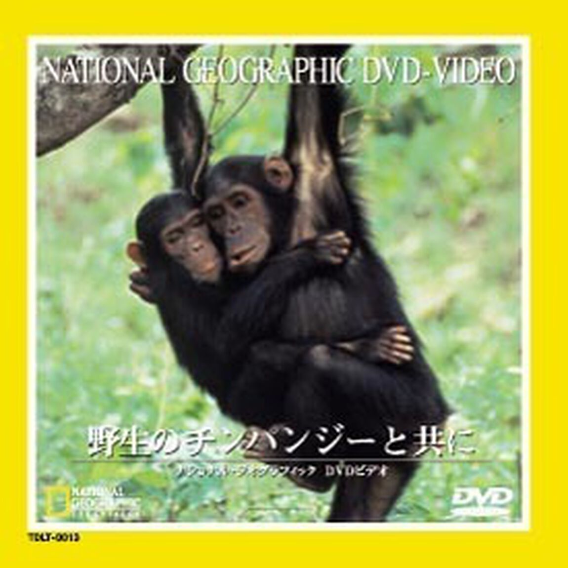 ナショナル・ジオグラフィック　野生のチンパンジーと共に（ＤＶＤ）