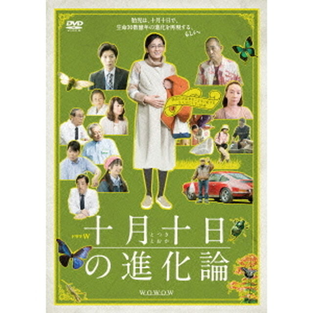 ドラマW　十月十日の進化論（ＤＶＤ）