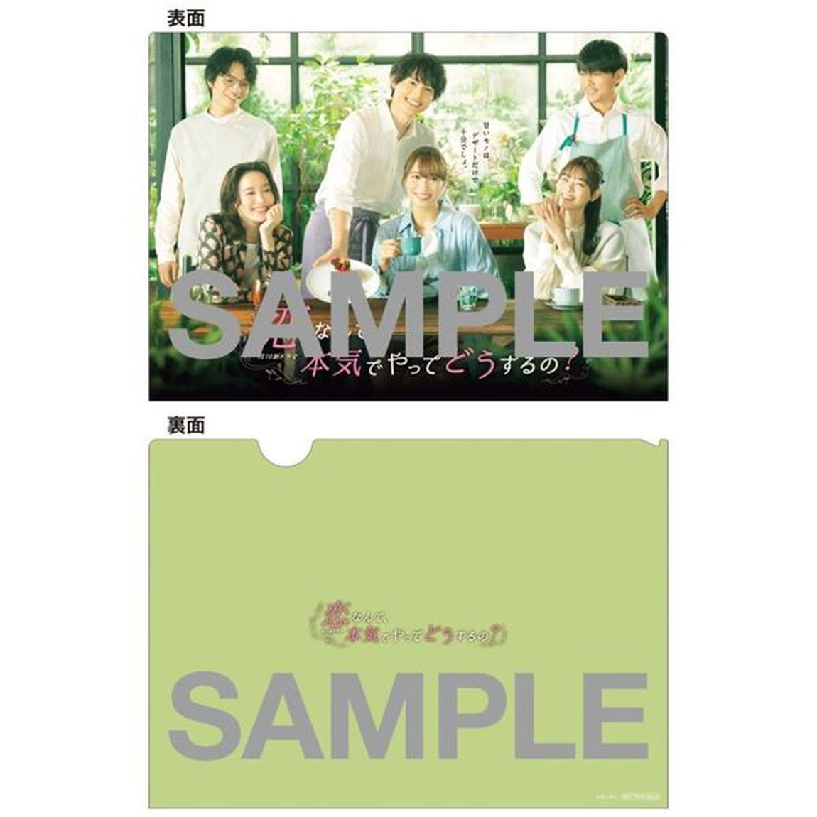 恋なんて、本気でやってどうするの？ DVD-BOX＜セブンネット限定特典：キービジュアルB6クリアファイル（きみどり）付き＞（ＤＶＤ）