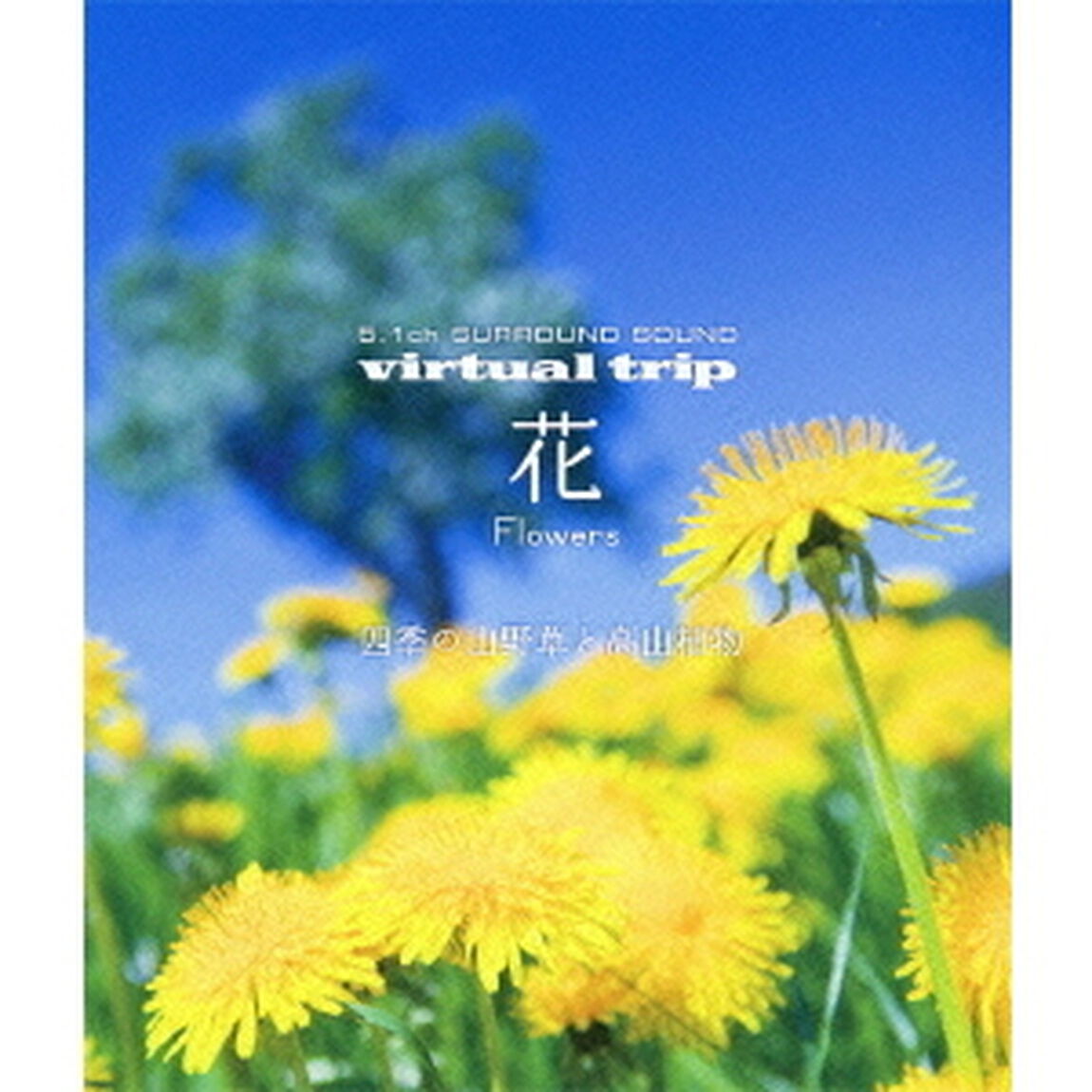 virtual　trip　花　Flowers　四季の山野草と高山植物（Ｂｌｕ－ｒａｙ　Ｄｉｓｃ）