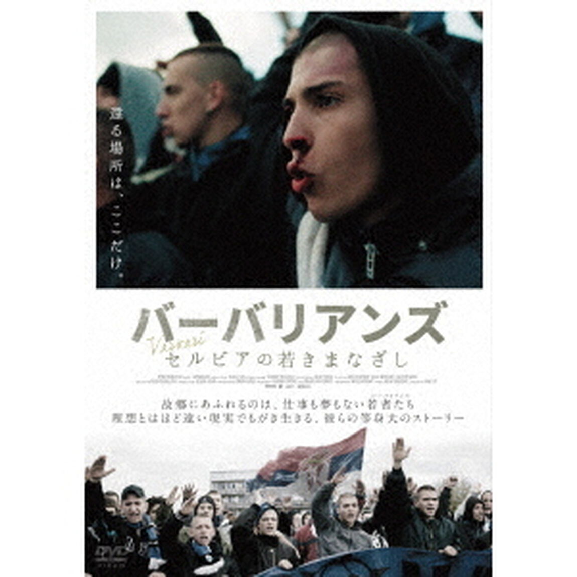 バーバリアンズ　セルビアの若きまなざし（ＤＶＤ）
