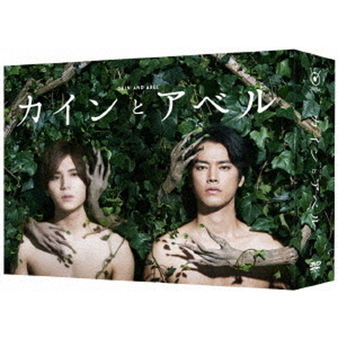 カインとアベル  DVD-BOX（ＤＶＤ）