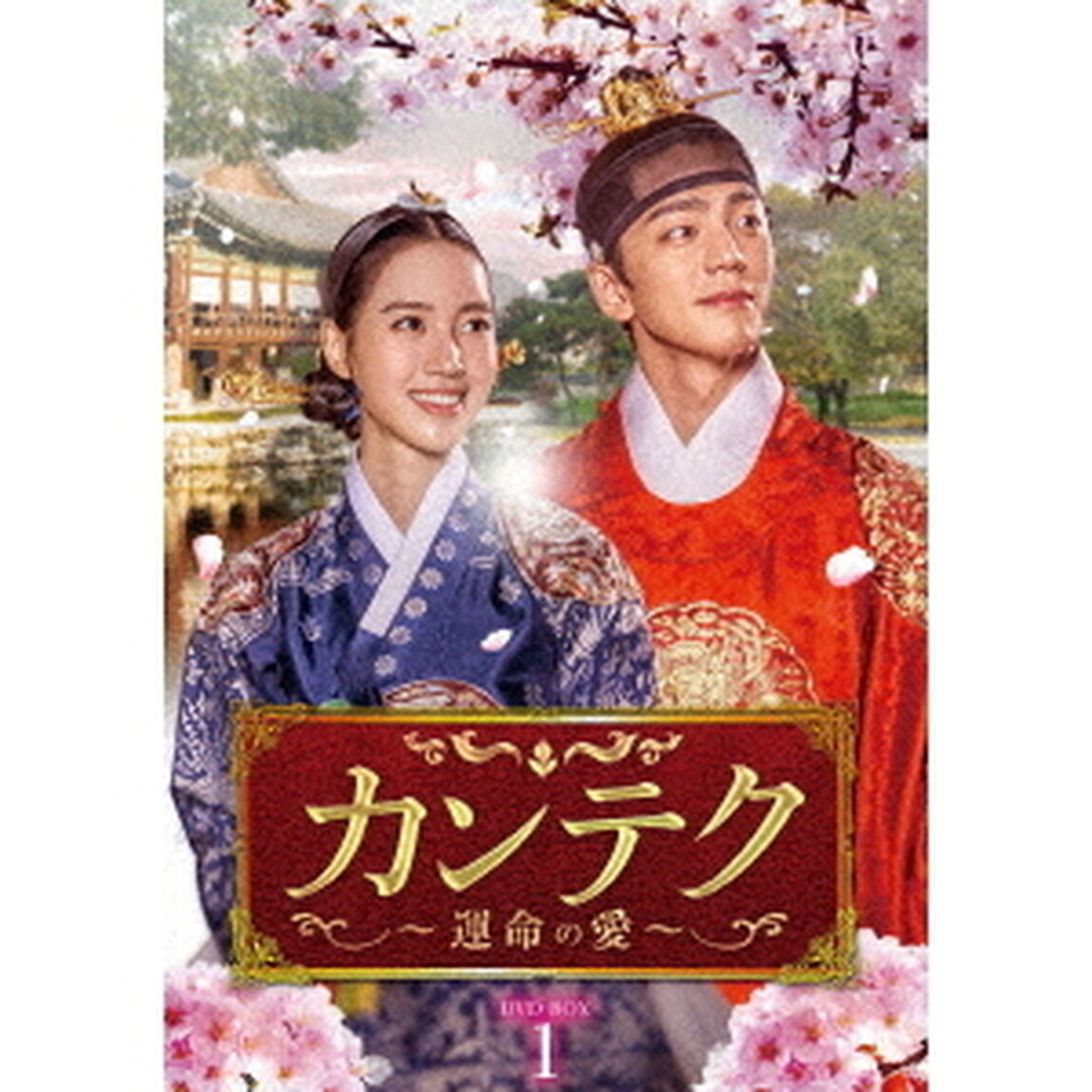 カンテク〜運命の愛〜　DVD－BOX1（ＤＶＤ）