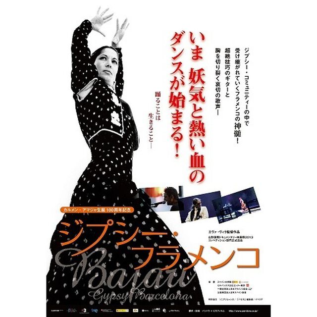 ジプシー・フラメンコ（ＤＶＤ）