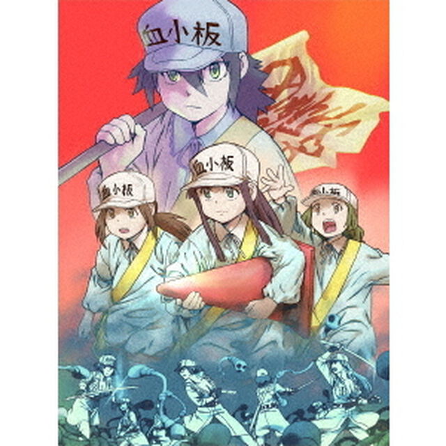 はたらく細胞BLACK 5＜完全生産限定版＞（ＤＶＤ）