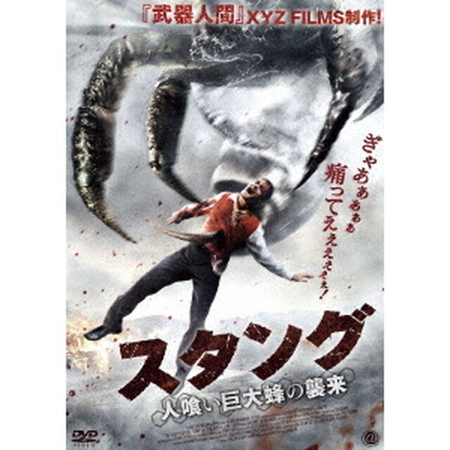 スタング　人喰い巨大蜂の襲来（ＤＶＤ）