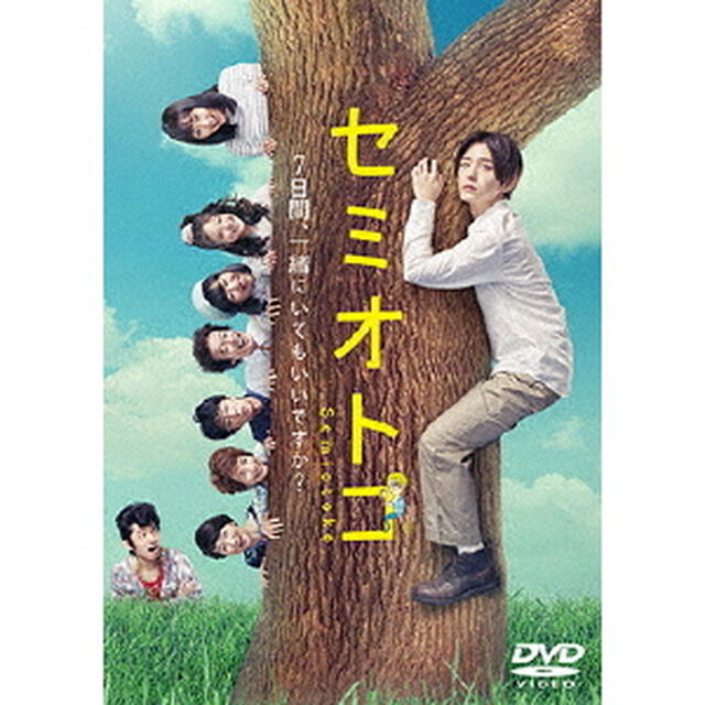 セミオトコ DVD-BOX＜セブンネット限定特典：ポスタービジュアルB6クリアファイル（緑）＞（ＤＶＤ）