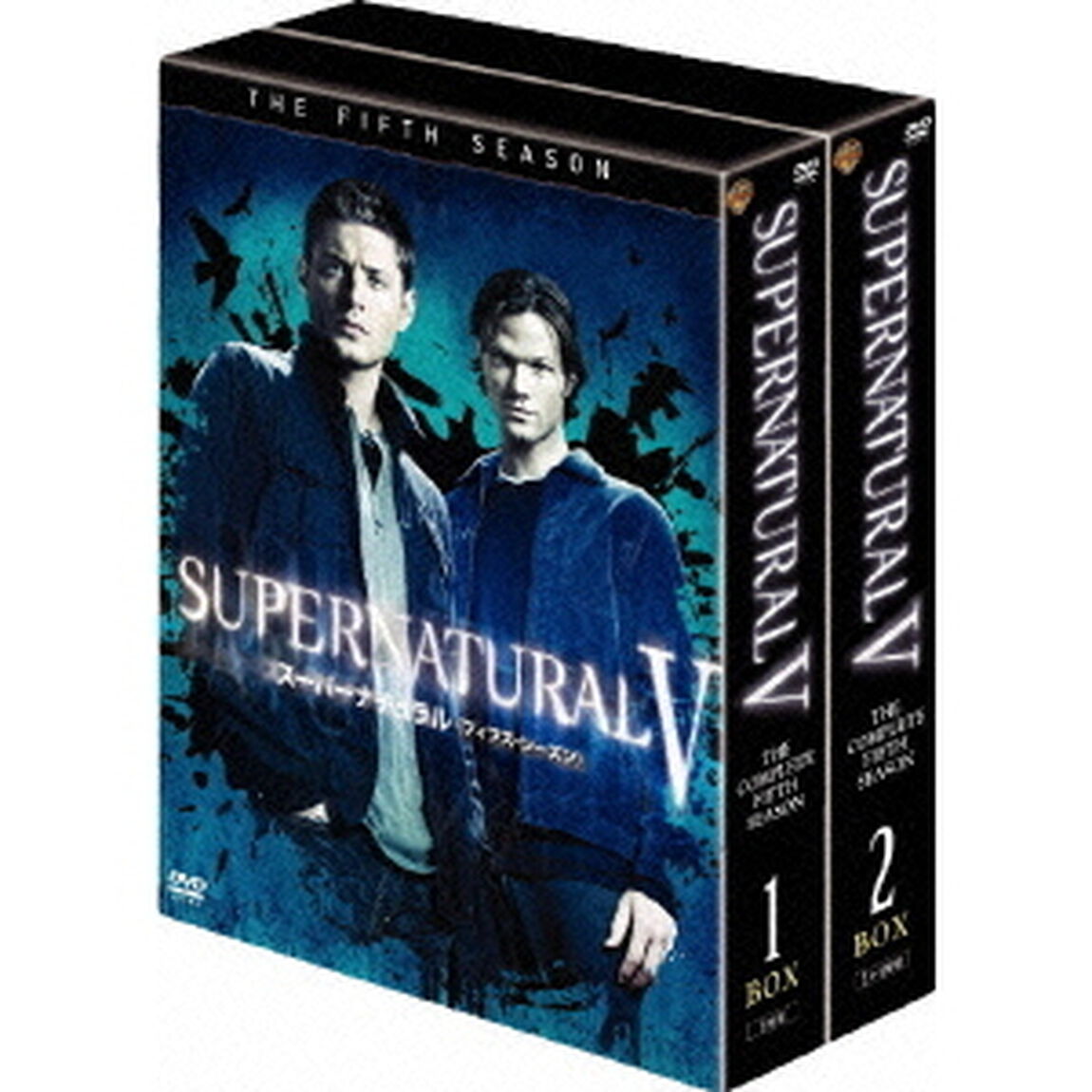 SUPERNATURAL　Ⅴ　スーパーナチュラル　＜フィフス・シーズン＞　コンプリート・ボックス（ＤＶＤ）