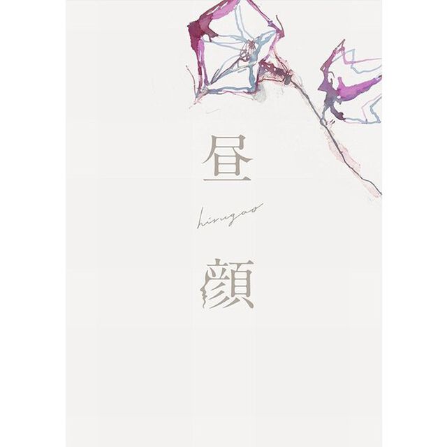 昼顔　豪華版（ＤＶＤ）