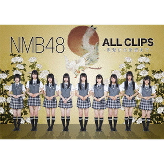 NMB48　ALL　CLIPS　－黒髮から欲望まで－（ＤＶＤ）
