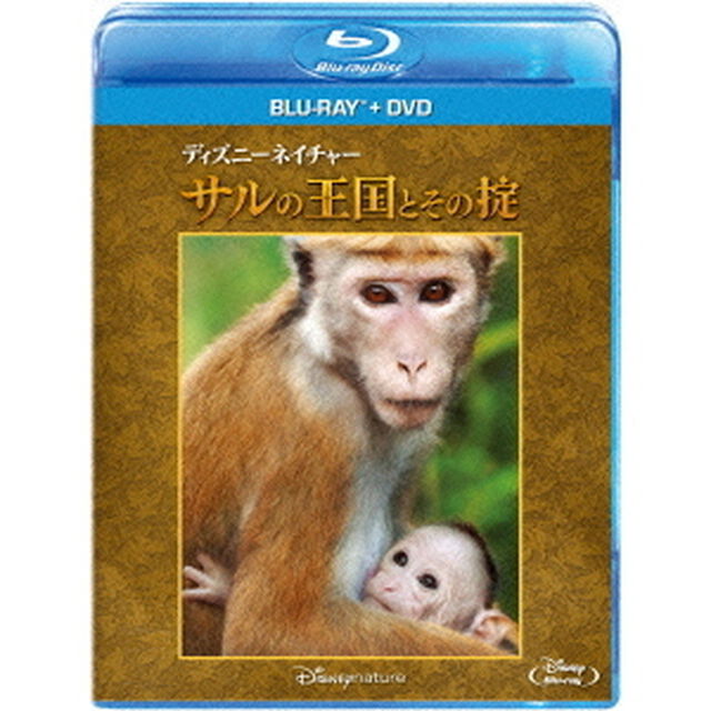 ディズニーネイチャー／サルの王国とその掟 ブルーレイ+DVDセット（Ｂｌｕ－ｒａｙ　Ｄｉｓｃ）