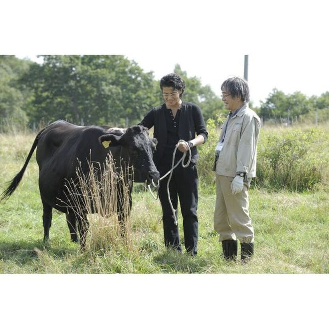 獣医ドリトル　DVD－BOX（ＤＶＤ）