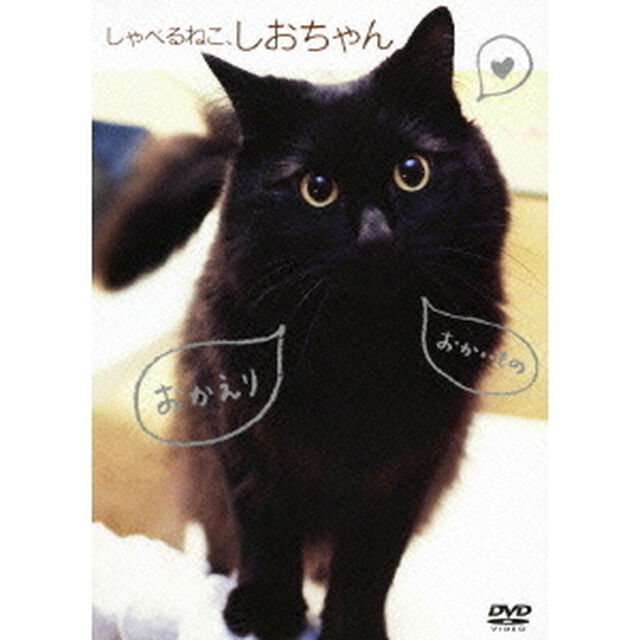 しゃべるねこ、しおちゃん（ＤＶＤ）