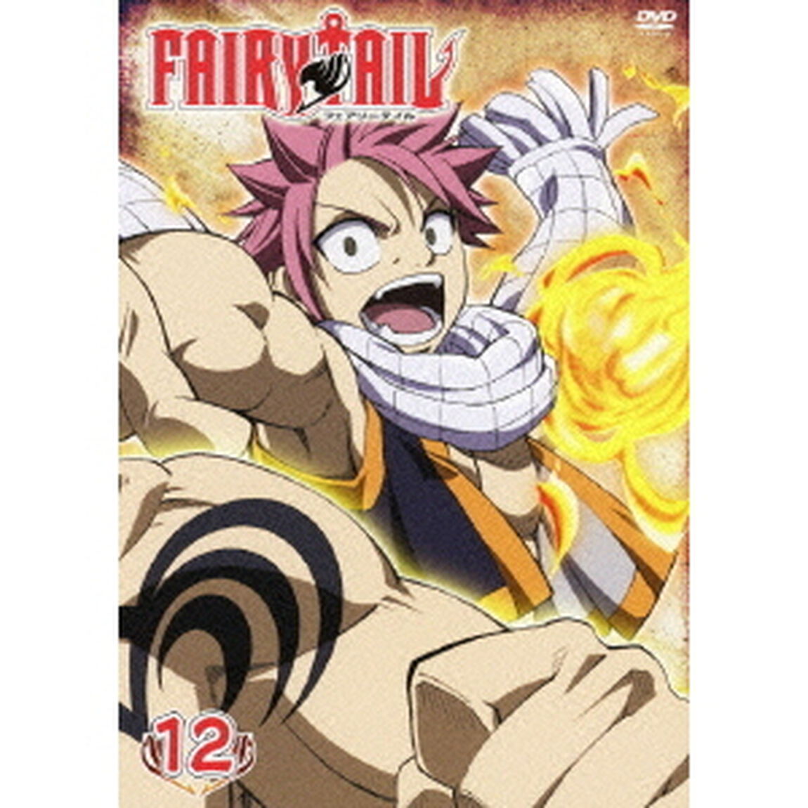 FAIRY TAIL 12（ＤＶＤ）