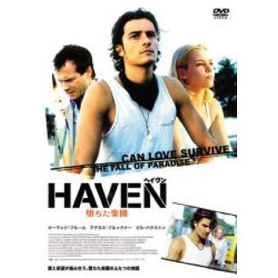 ヘイヴン －堕ちた楽園－ 特別版 ＜期間限定生産＞（ＤＶＤ）