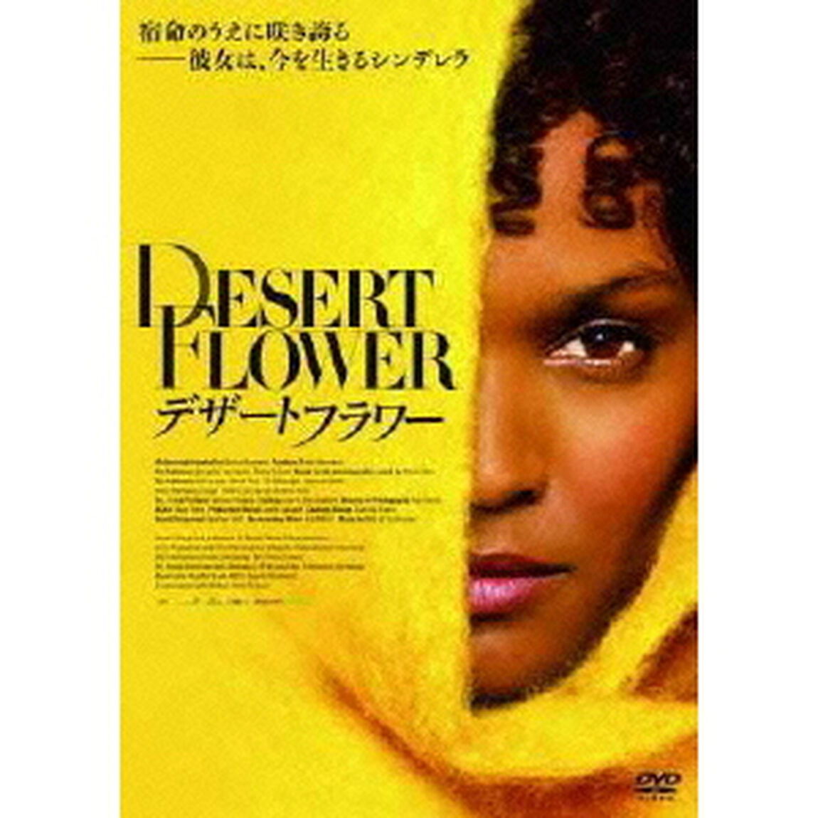 デザート・フラワー（ＤＶＤ）