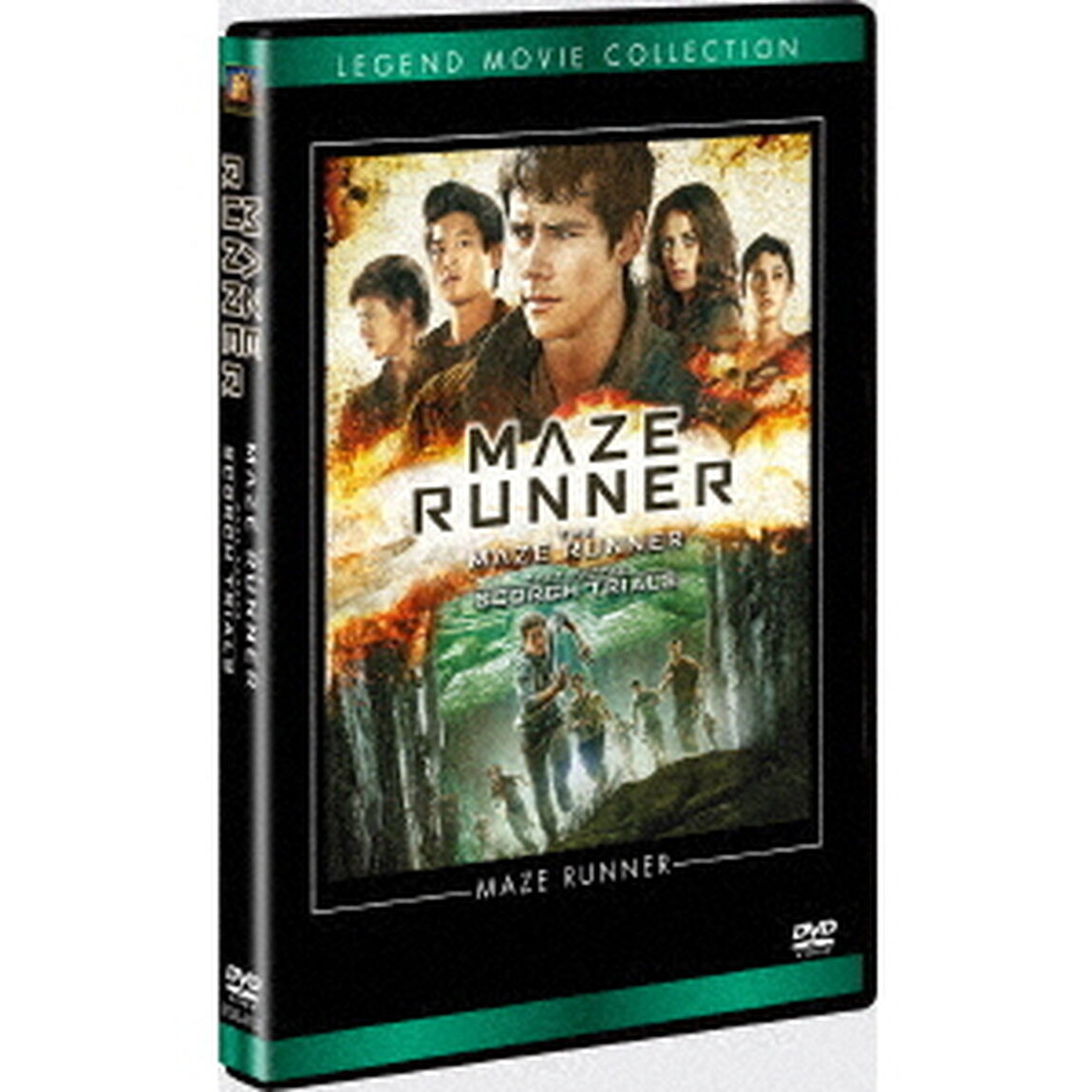 メイズ・ランナー　DVDコレクション（ＤＶＤ）