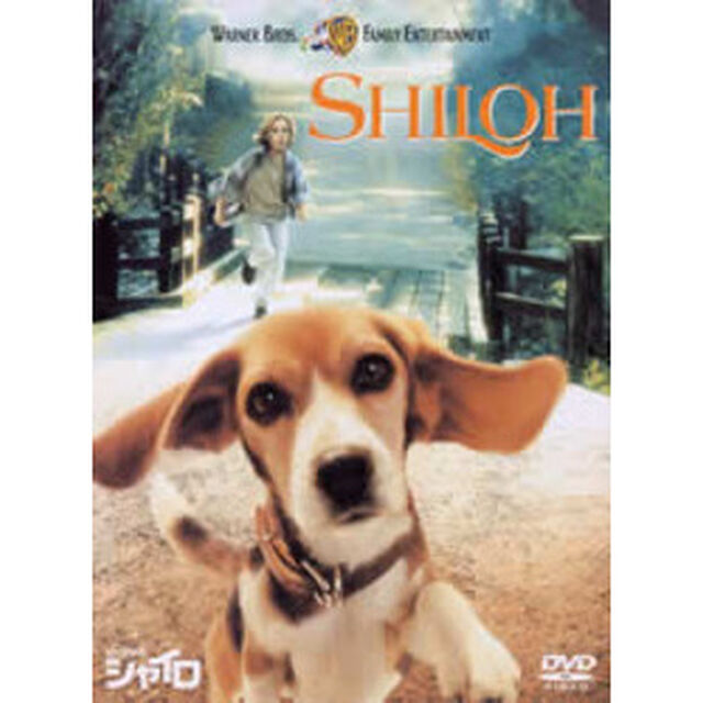 ビーグル犬 シャイロ 特別版（ＤＶＤ）