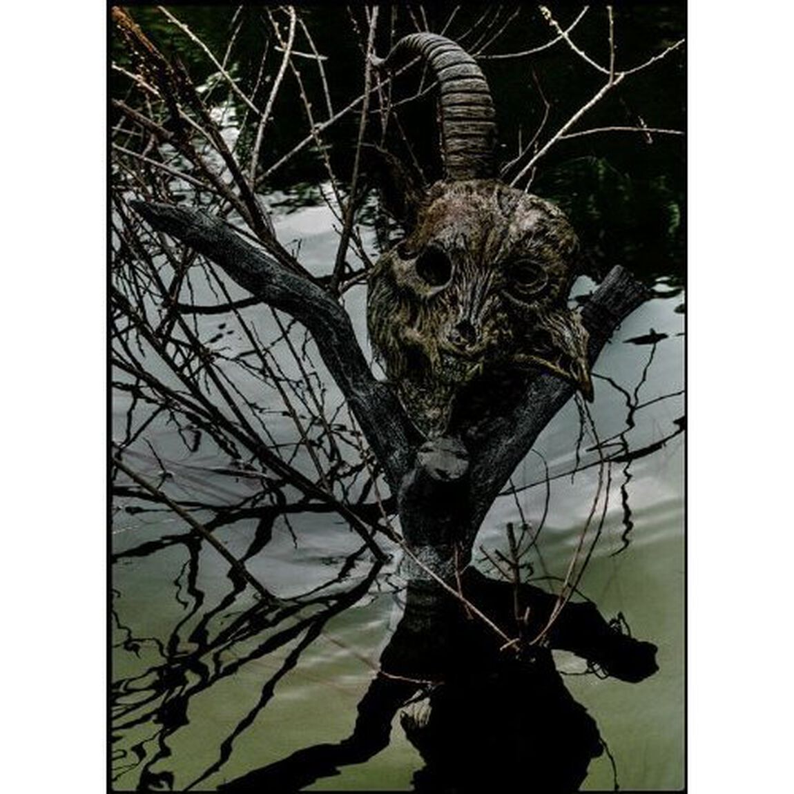 THE　GAZETTE　LIVE　TOUR　13－14　［MAGNIFICENT　MALFORMED　BOX］　FINAL　CODA　LIVE　AT　01．11　YOKOHAMA　ARENA（ＤＶＤ）