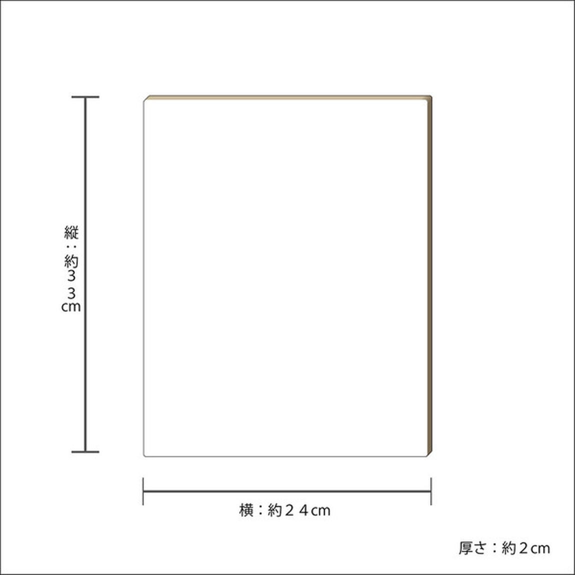 【メタライズアート特集】幼女戦記／キャンバスアートボード（大）／ターニャ＆ヴィーシャA．ｖｅｒ（セブンネット先行発売）（その他）