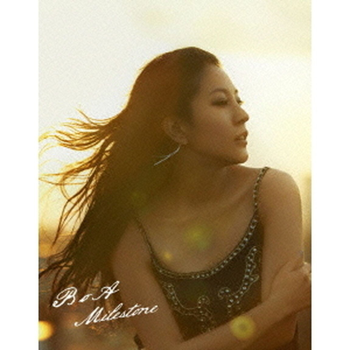 Milestone（ＤＶＤ）