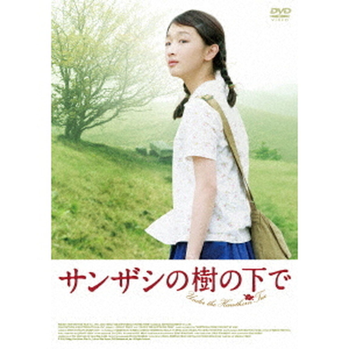 サンザシの樹の下で（ＤＶＤ）