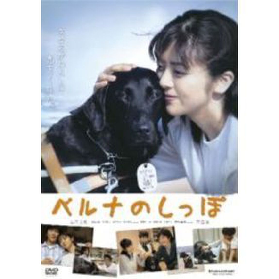 ベルナのしっぽ（ＤＶＤ）
