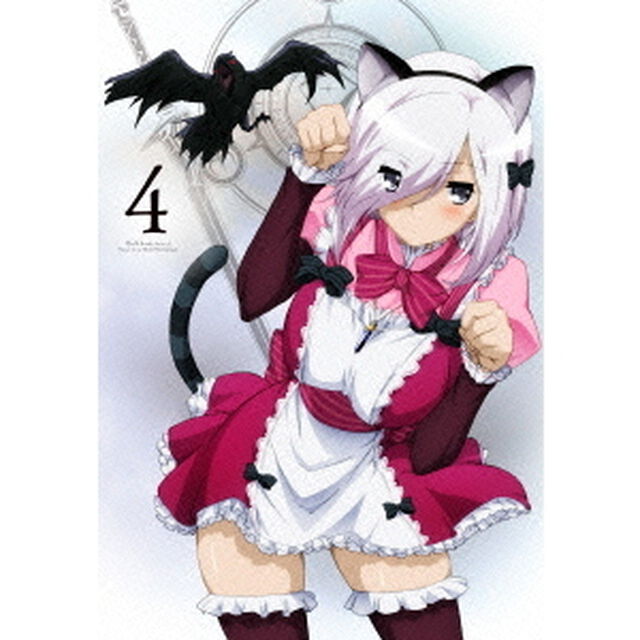 聖剣使いの禁呪詠唱　Vol．4（ＤＶＤ）