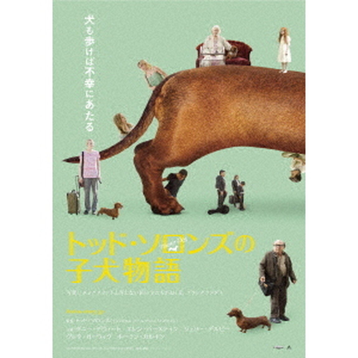 トッド・ソロンズの子犬物語（ＤＶＤ）