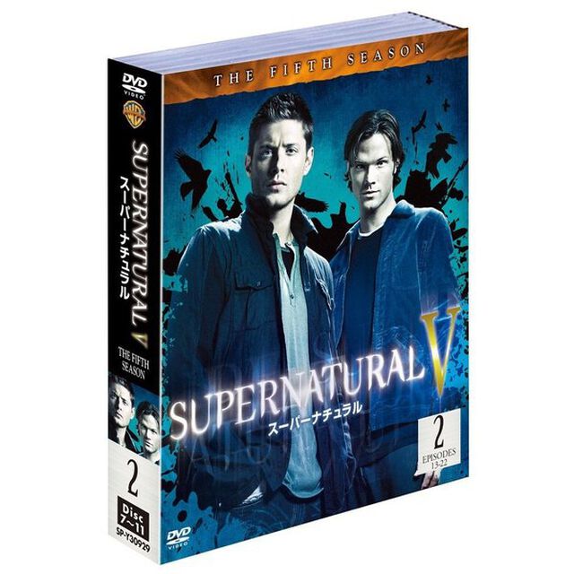 SUPERNATURAL　Ⅴ　スーパーナチュラル　＜フィフス・シーズン＞　セット2（ＤＶＤ）
