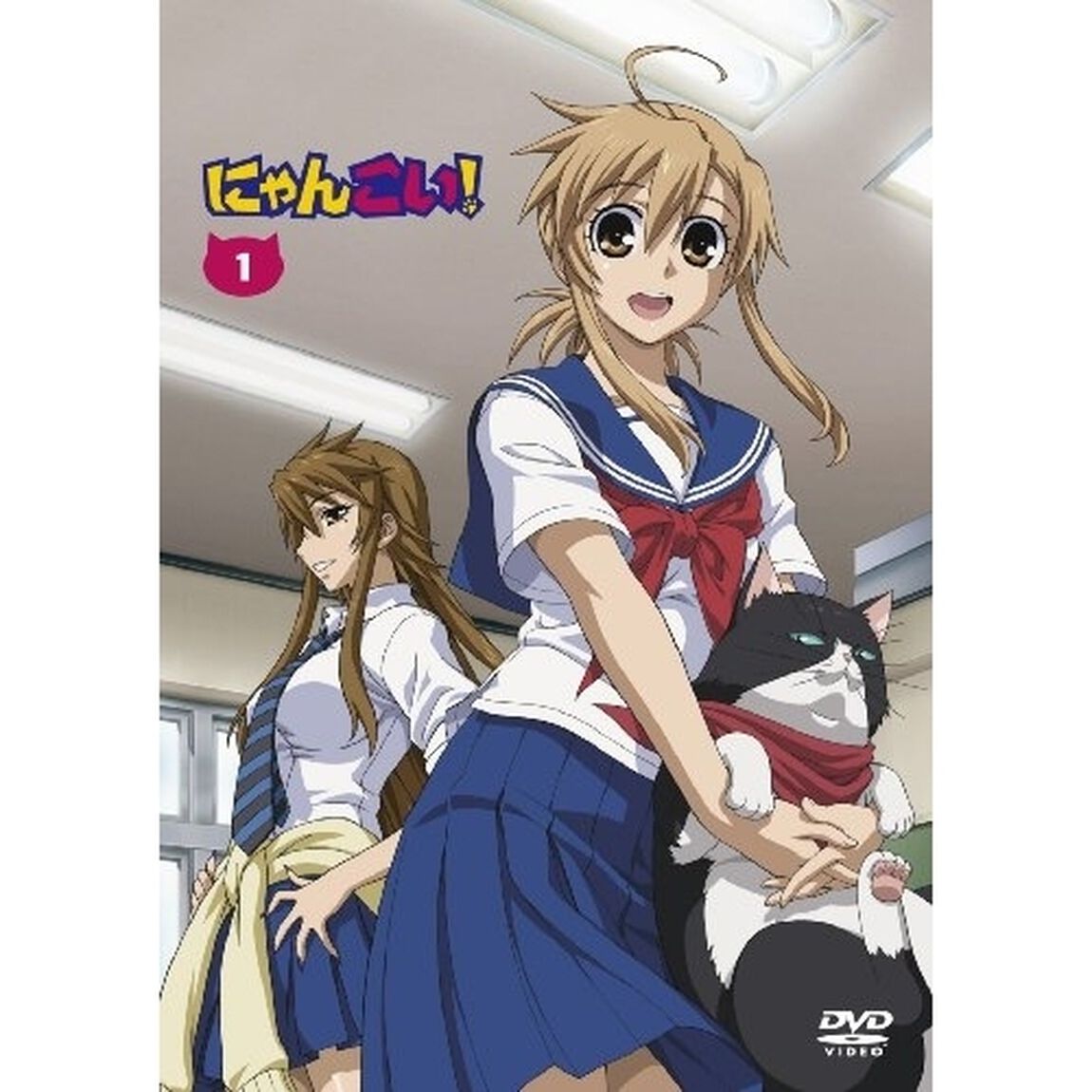 にゃんこい！ 1 ＜初回限定生産＞（ＤＶＤ）