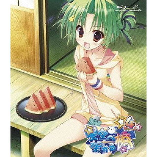 星空へ架かる橋 4（Ｂｌｕ－ｒａｙ　Ｄｉｓｃ）