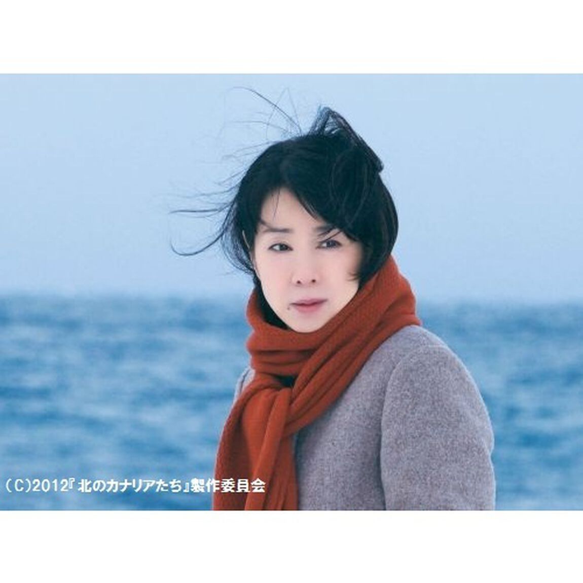北のカナリアたち（ＤＶＤ）