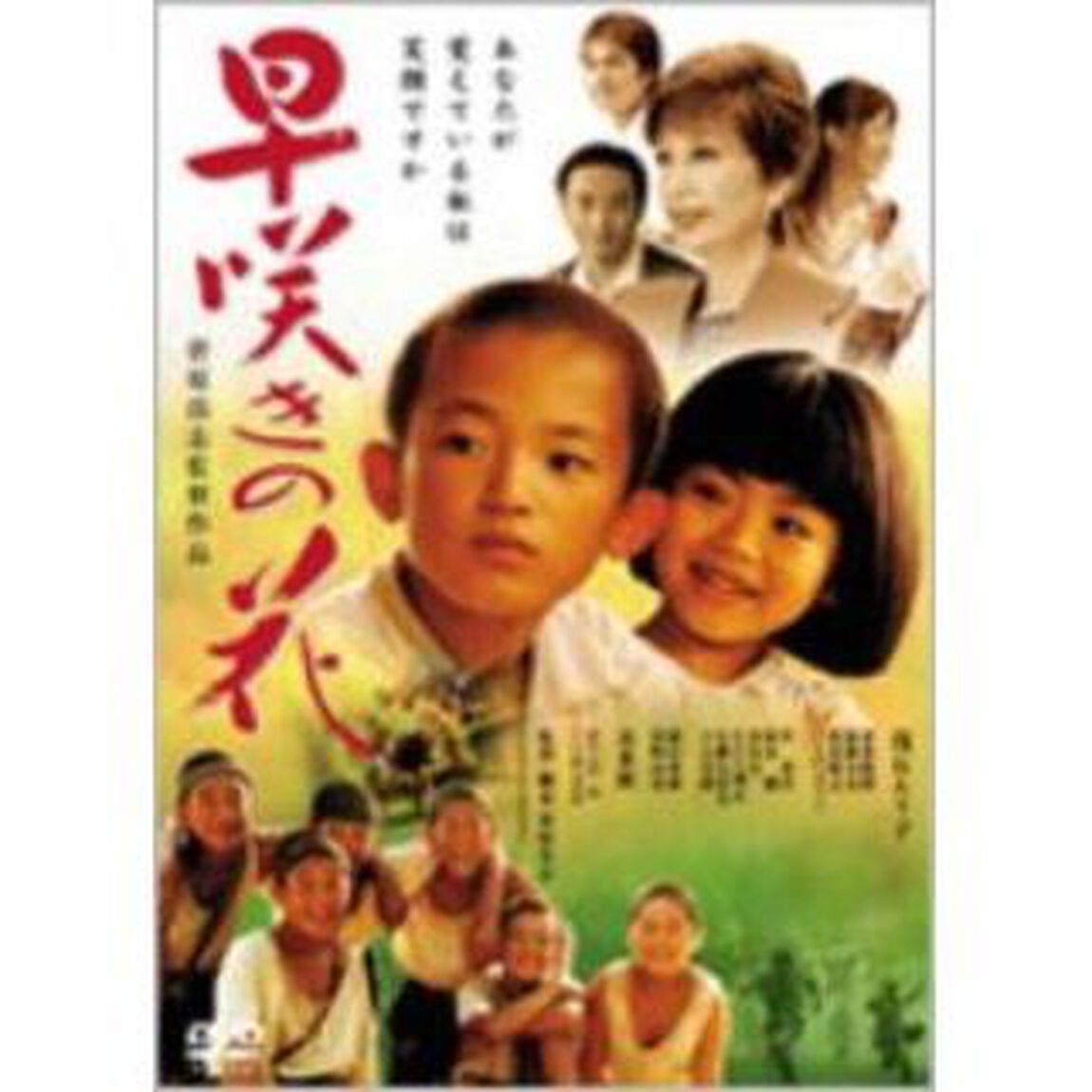 早咲きの花（ＤＶＤ）