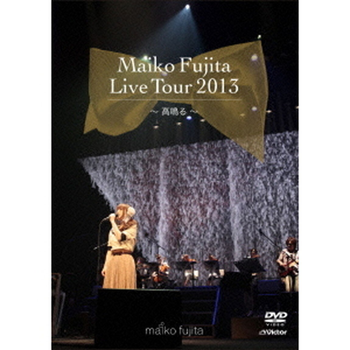 藤田麻衣子　LIVE　TOUR　2013　〜高鳴る〜（ＤＶＤ）