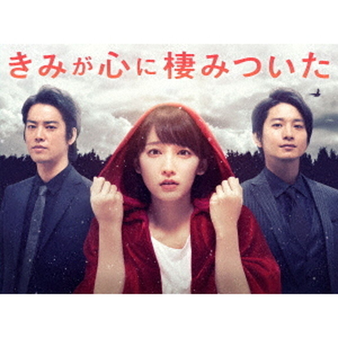 きみが心に棲みついた Blu-ray BOX（Ｂｌｕ－ｒａｙ Ｄｉｓｃ）（Ｂｌｕ－ｒａｙ　Ｄｉｓｃ）