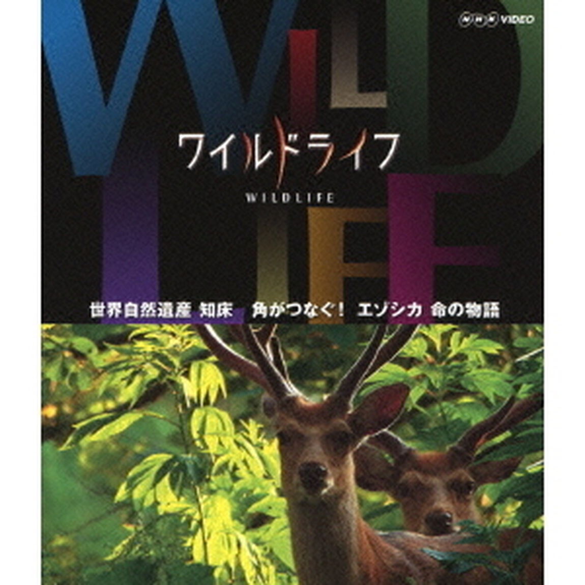 ワイルドライフ　世界自然遺産　知床　角がつなぐ！　エゾシカ　命の物語（Ｂｌｕ－ｒａｙ　Ｄｉｓｃ）