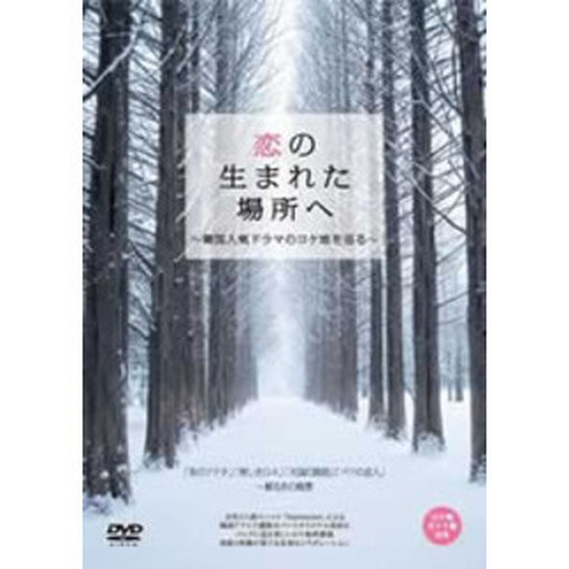 恋が生まれた場所へ 〜韓国人気ドラマのロケ地を巡る〜 「冬のソナタ」「美しき日々」「天国の階段」「パリの恋人」 蘇るあの風景（ＤＶＤ）