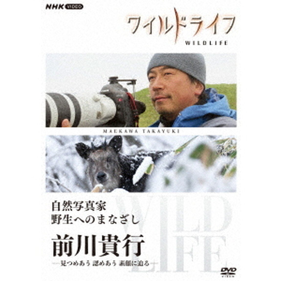 ワイルドライフ　自然写真家　野生へのまなざし　前川貴行　－見つめあう　認めあう　素顔に迫る－（ＤＶＤ）