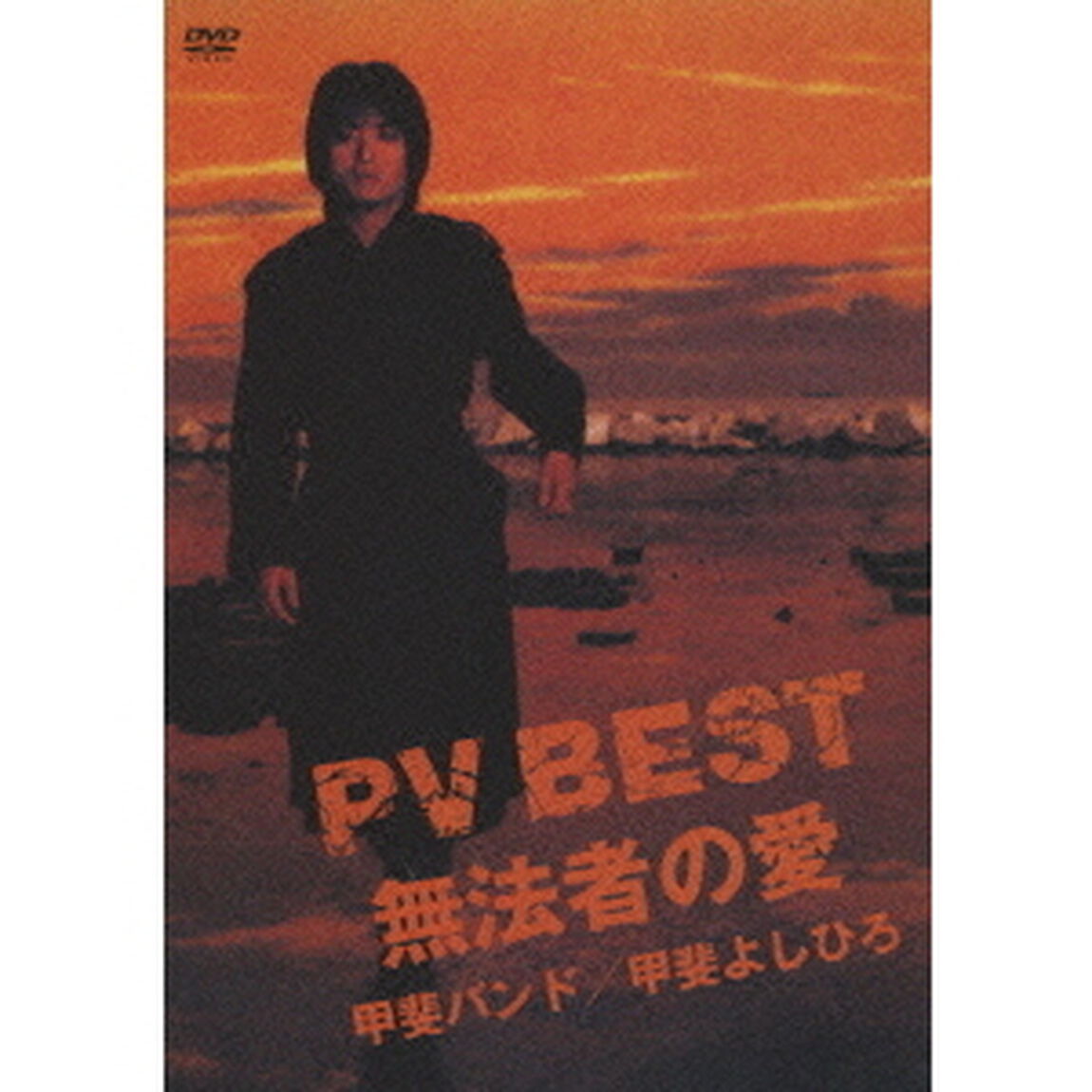 PV　BEST〜無法者の愛〜（ＤＶＤ）