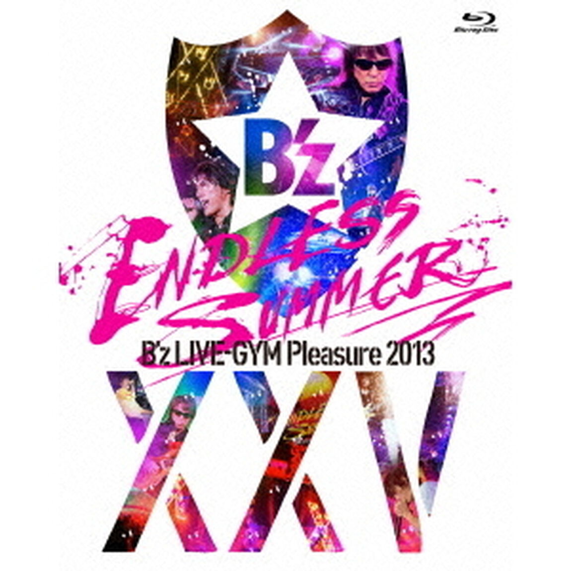 B&rsquo;z　LIVE－GYM　Pleasure　2013　ENDLESS　SUMMER　－ⅩⅩⅤ　BEST－（Ｂｌｕ－ｒａｙ　Ｄｉｓｃ）