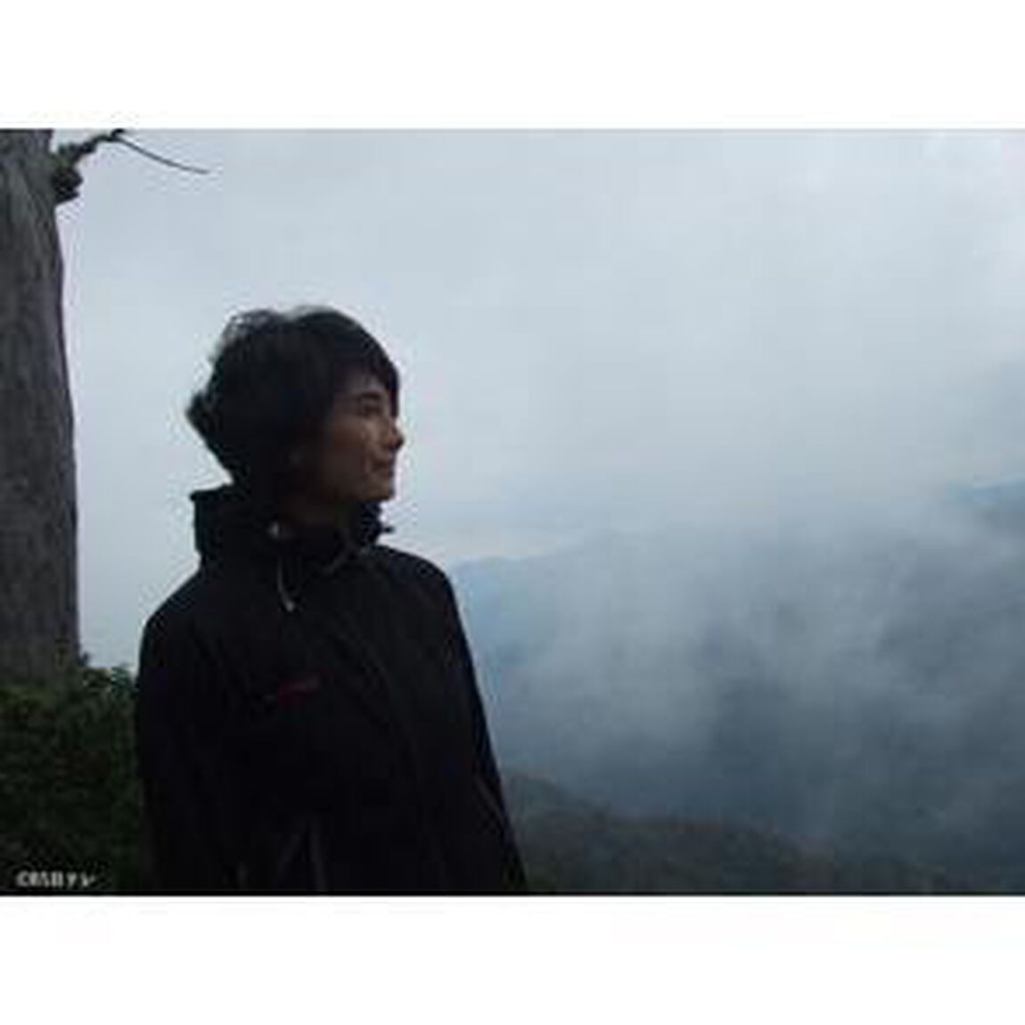 登る女　屋久島編（ＤＶＤ）