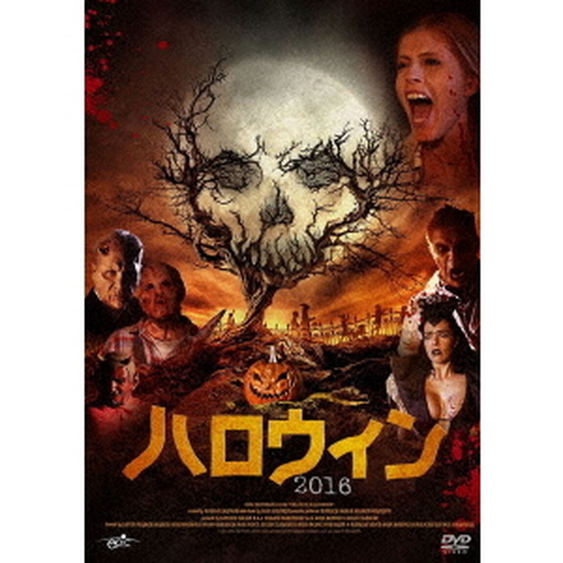 ハロウィン2016（ＤＶＤ）