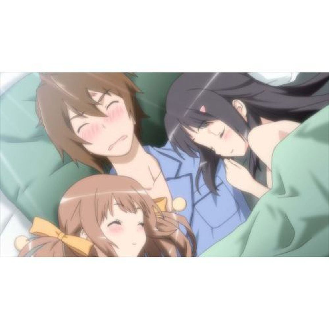 この中に1人、妹がいる！　Vol．5（ＤＶＤ）
