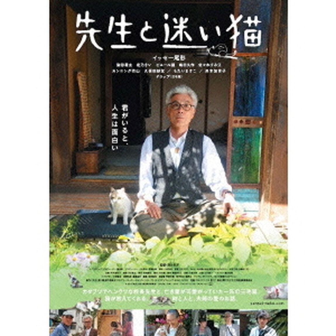 先生と迷い猫（ＤＶＤ）