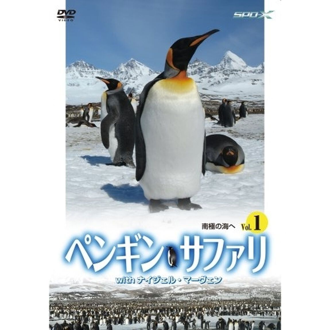 ペンギン・サファリ with ナイジェル・マーヴェン Vol.1（ＤＶＤ）